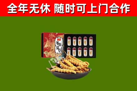 淇市回收冬虫夏草价格